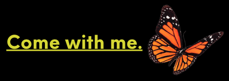 cinnamon-gypsea-butterfly